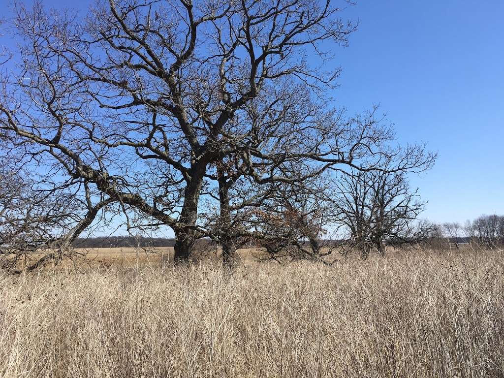 Prairie Oaks Forest Preserve 7535 Cherry Valley Rd, Kingston, IL