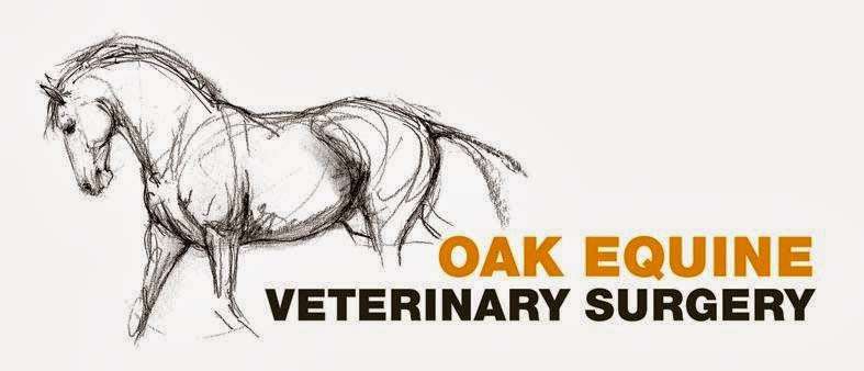 Oak Equine Veterinary Surgery | Wood Farm, Moreton Rd, Ongar CM5 0EY, UK | Phone: 01277 890600