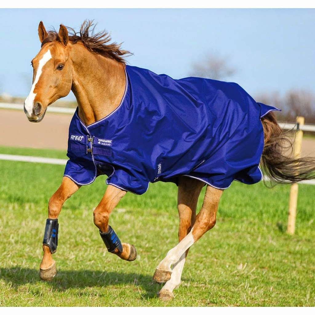 Hobby Horse Saddlery | 444 W Jericho Turnpike # H, Huntington, NY 11743 | Phone: (631) 692-2730