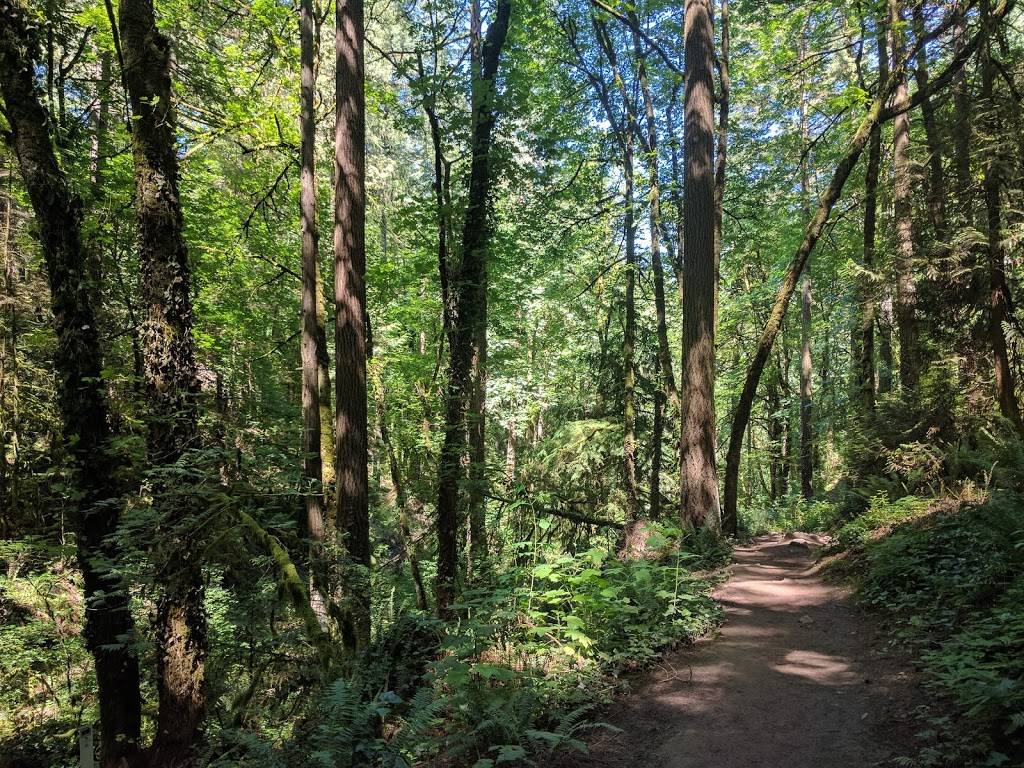 Marquam Nature Park | Main entrance:, SW Marquam St, Portland, OR 97201, USA | Phone: (971) 599-3667