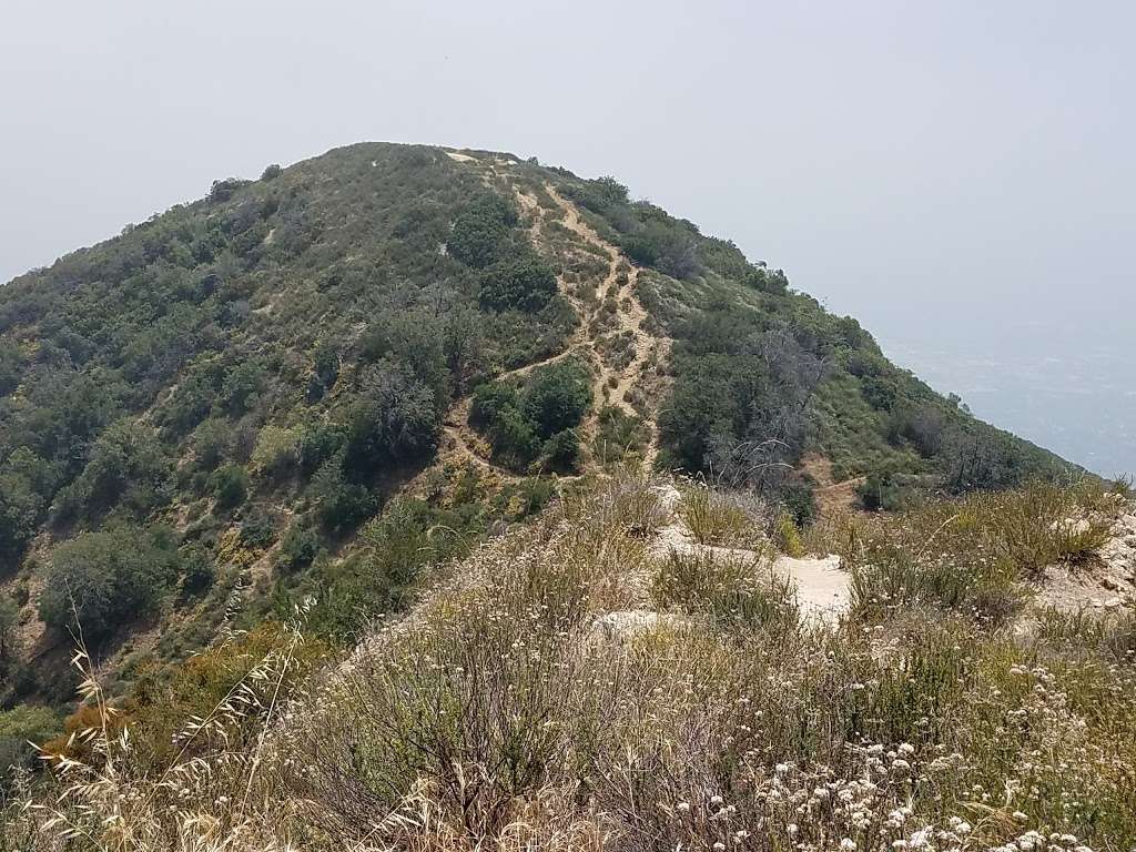 Bailey Canyon Wilderness Park | 451 W Carter Ave, Sierra Madre, CA 91024, USA | Phone: (626) 355-5278