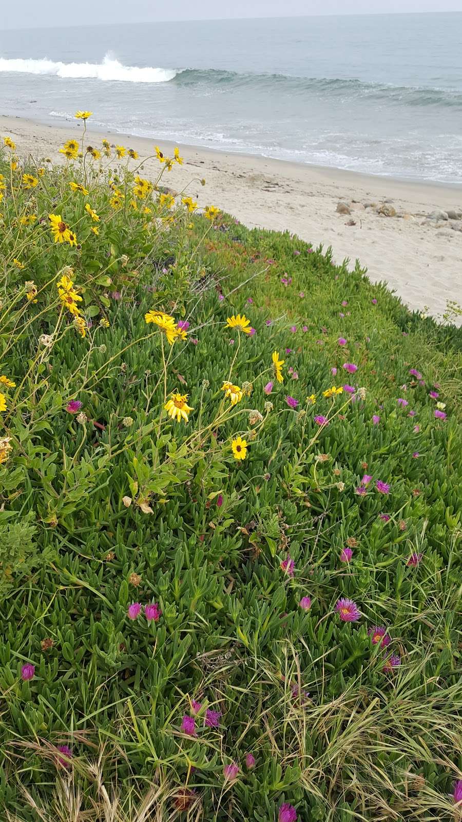 Corral State Beach | Malibu, CA 90265, USA