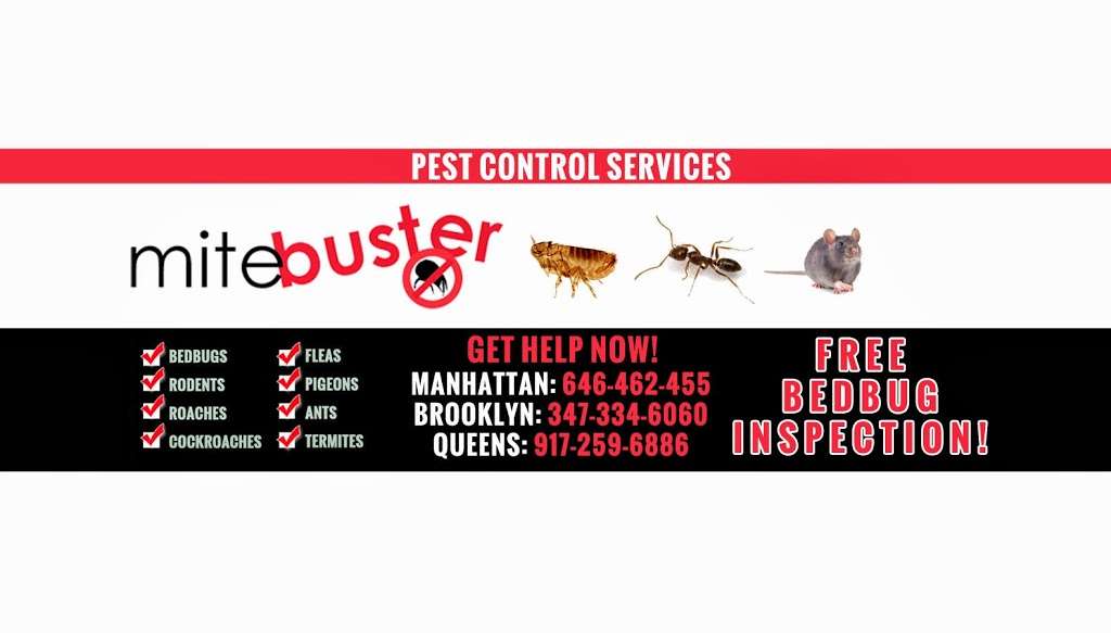 MiteBuster Pest Control | 63-3763 83rd St #238, Jackson Heights, NY 11372, USA | Phone: (347) 334-6060