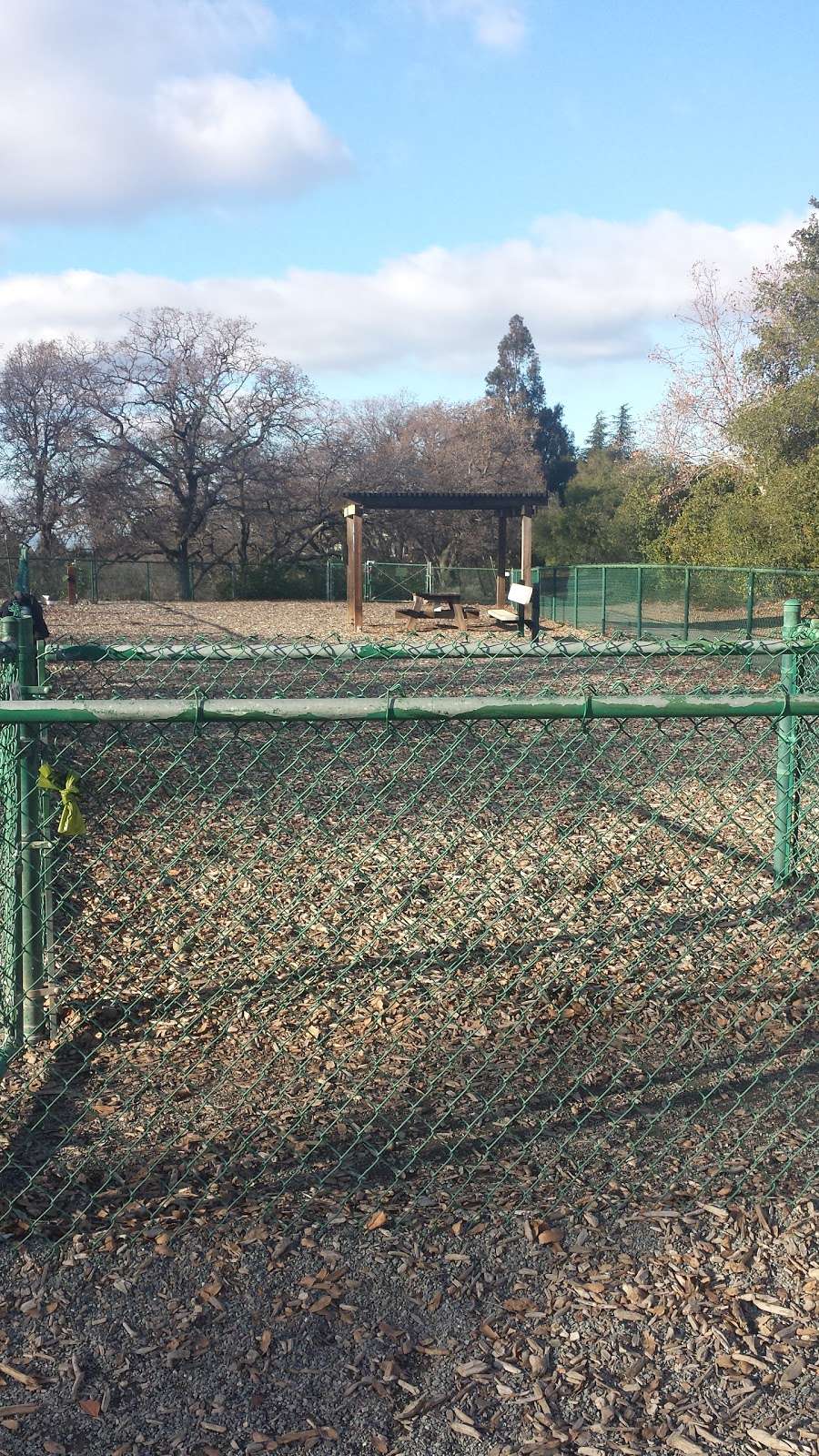 Clayton Dog Park | Marsh Creek Rd, Clayton, CA 94517 | Phone: (925) 203-5626