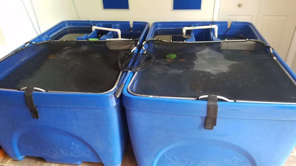 One Fish Two Fish | 2048 US-209, Brodheadsville, PA 18322, USA | Phone: (570) 992-1230