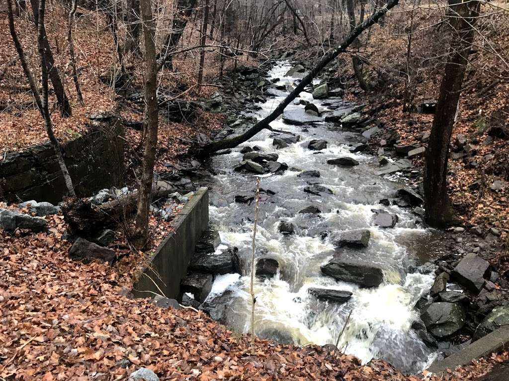 Kugler Woods Preserve | Stockton, NJ 08559, USA