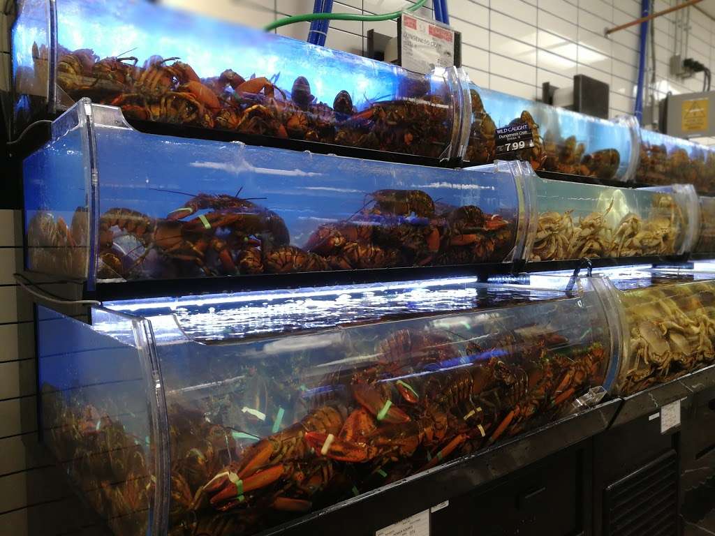 H Mart Arcadia | 1101 Huntington Dr, Arcadia, CA 91007, USA | Phone: (626) 241-9300