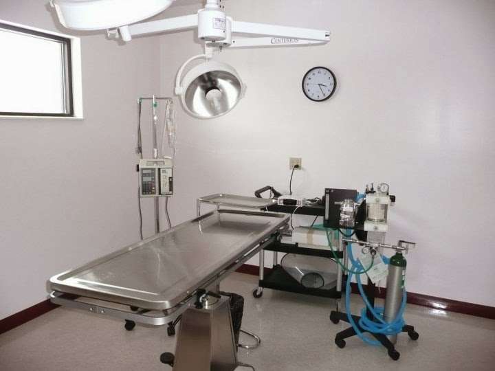 Four Seasons Animal Hospital | 10624 Randolph St, Crown Point, IN 46307, USA | Phone: (219) 663-8387