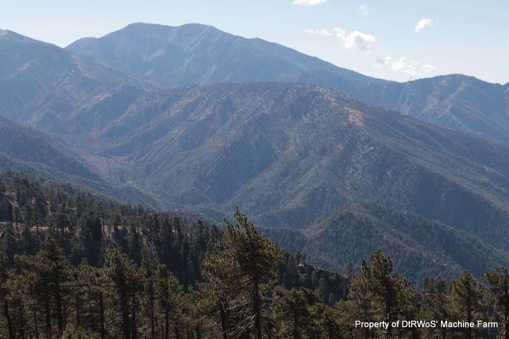 Jackson Flat Group Campground | Angeles Crest Hwy, Wrightwood, CA 92397 | Phone: (626) 574-1613