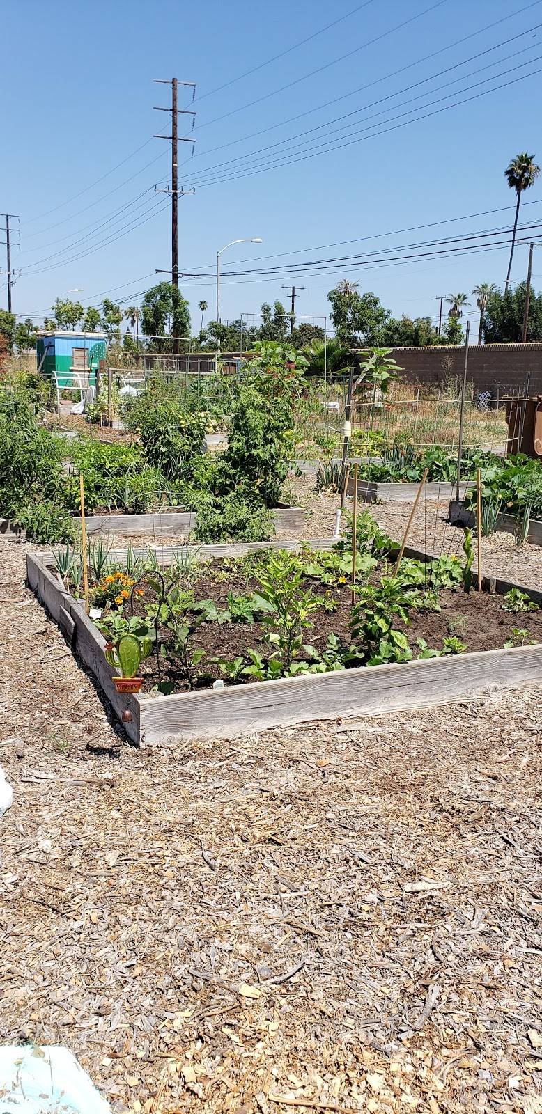 Common Ground Community Garden | 2123 W Katella Ave, Anaheim, CA 92804, USA | Phone: (714) 251-0276