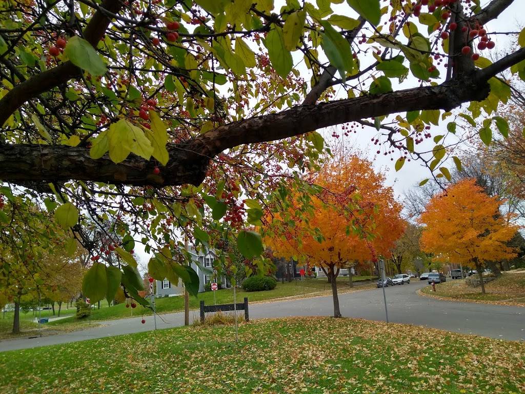 Bethune Park | 1304 N 10th Ave, Minneapolis, MN 55411, USA | Phone: (612) 230-6400