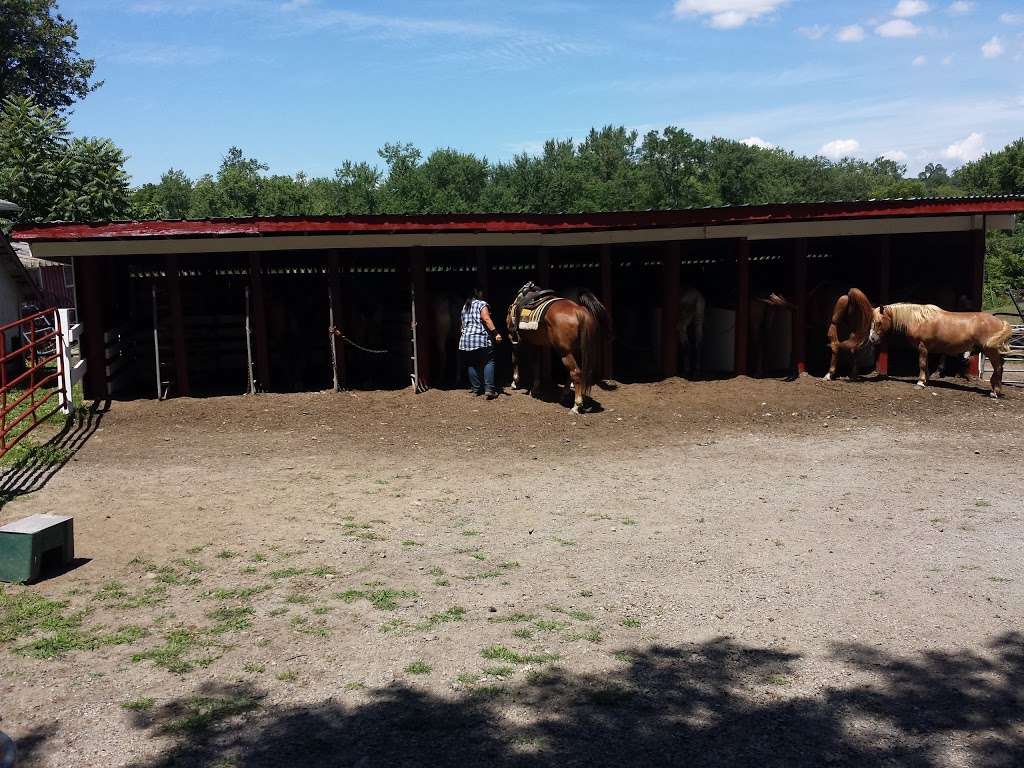 Top View Riding Ranch | 36 Hess Rd, Blairstown, NJ 07825 | Phone: (908) 362-1440