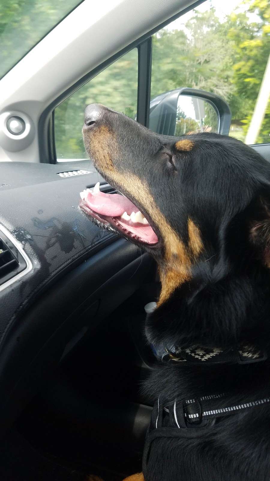 On Call Contracting Services, LLC | 1245 Horsham Rd, Ambler, PA 19002, USA | Phone: (215) 542-2176