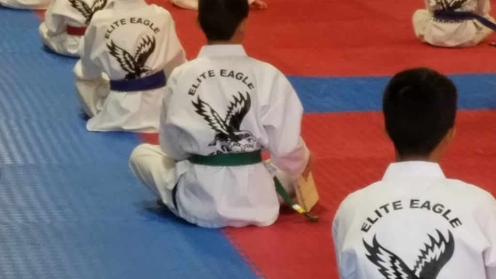 Elite Eagle Taekwondo (Cypress) | 16341 Mueschke Rd, Cypress, TX 77433, USA | Phone: (832) 863-9011