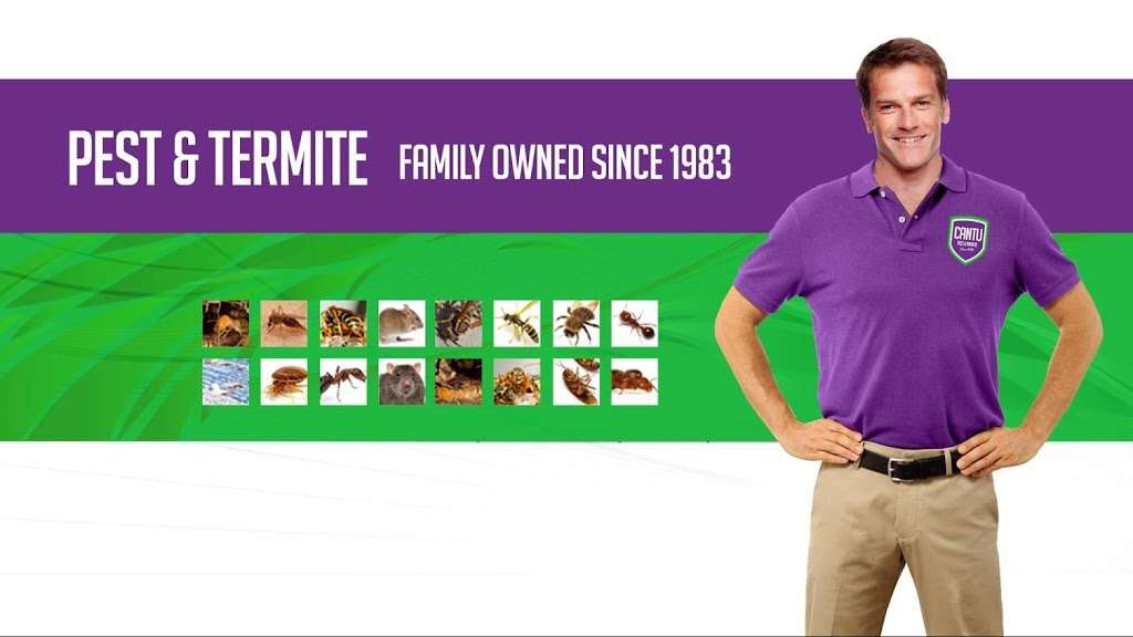 Cantu Pest & Termite | 4950 Keller Springs Rd Suite 420, Addison, TX 75001, USA | Phone: (972) 562-9999