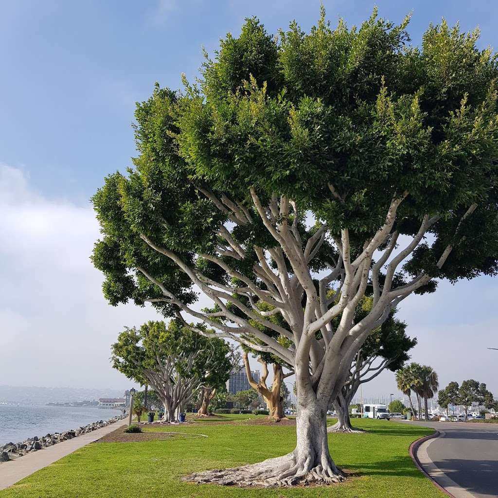 Harbor Island Park | 1875 Harbor Island Dr, San Diego, CA 92101, USA | Phone: (619) 686-6200