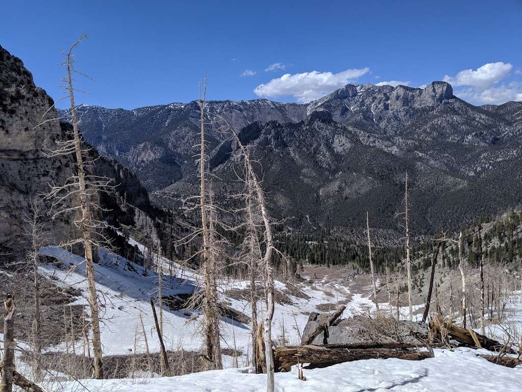 Echo Overlook | South Loop, Mt Charleston, NV 89124, USA