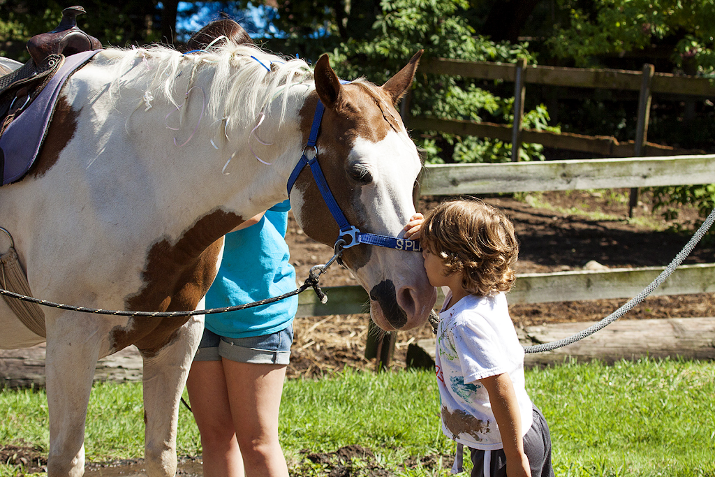 Nickel-O Farms | 369 Strawtown Rd, West Nyack, NY 10994, USA | Phone: (845) 353-8006