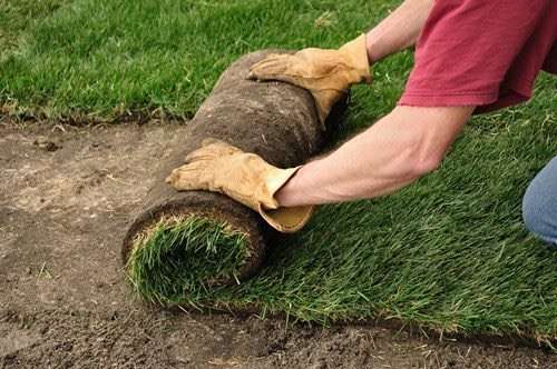 RotoTillerGuy ; Landscape Contractor | Sod | Sprinkler Installat | 17210 Prairie Ave, Torrance, CA 90504 | Phone: (310) 405-9280