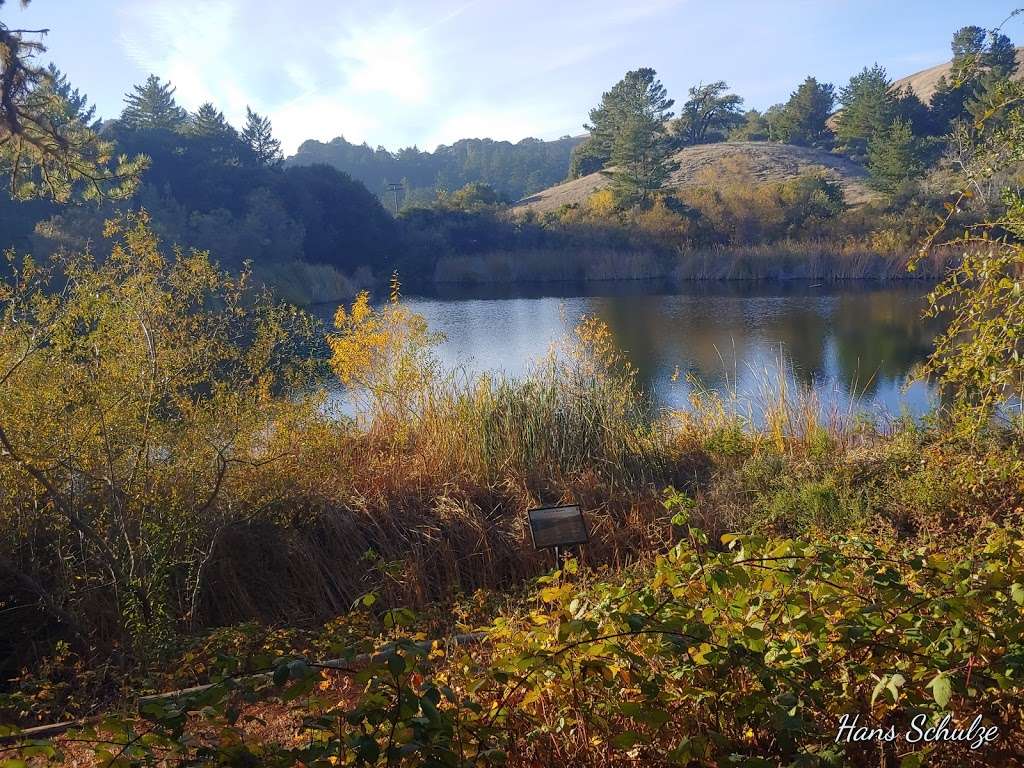 Midpeninsula Regional Open Space District Daniels Nature Center | 21141 Skyline Blvd, La Honda, CA 94020, USA | Phone: (650) 949-5270