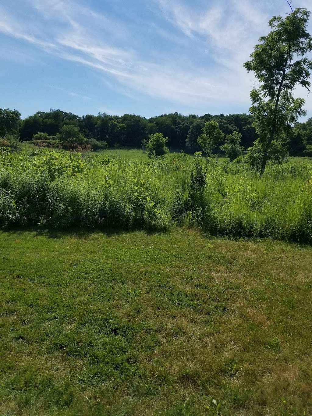 Hickory Knolls Nature Pavilion | St. Charles, IL 60175