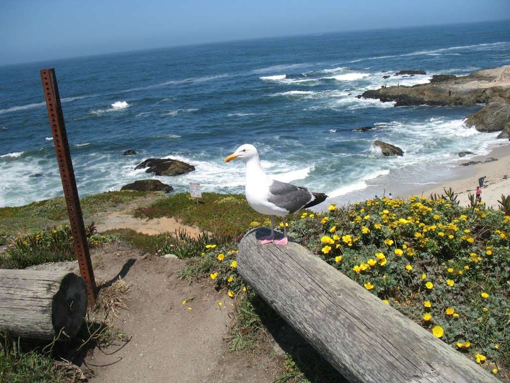 The Links at Bodega Harbour | 21301 Heron Dr, Bodega Bay, CA 94923, USA | Phone: (707) 875-3538