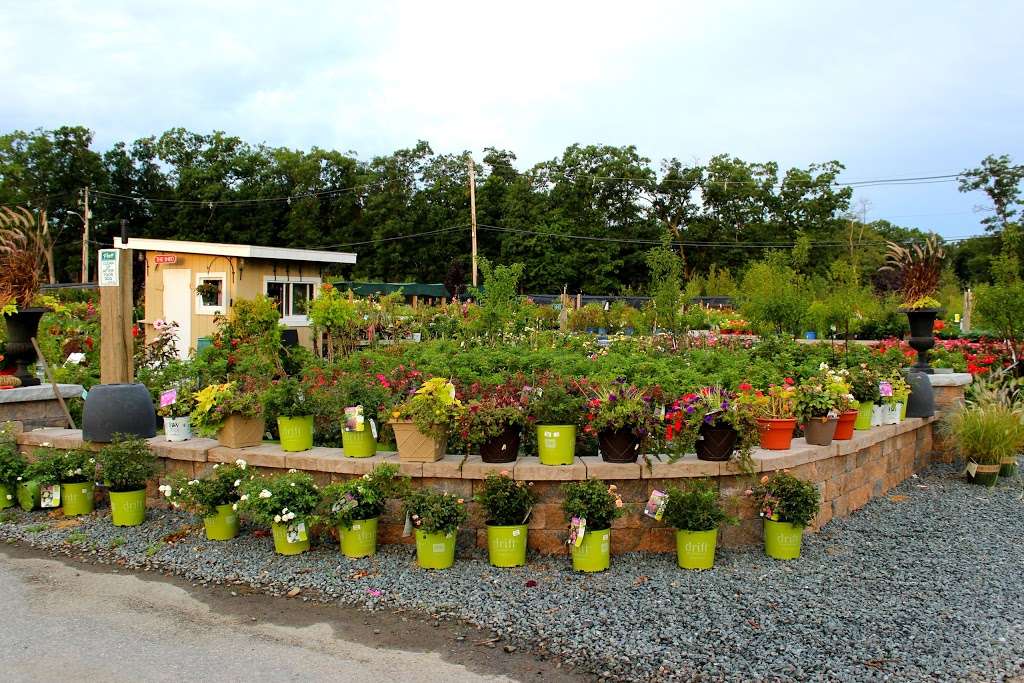 Northeast Nursery Contractor Center | 8 Dearborn Rd, Peabody, MA 01960, USA | Phone: (978) 854-4520