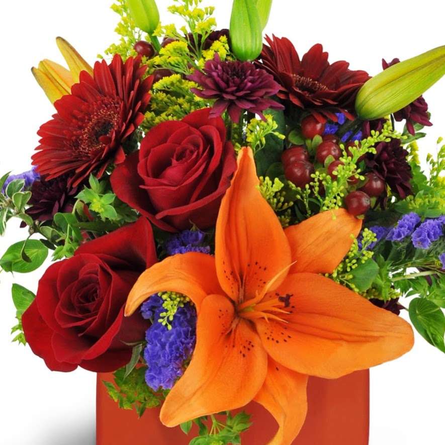 Eagledale Florist | 3615 W 30th St, Indianapolis, IN 46222 | Phone: (317) 924-4249