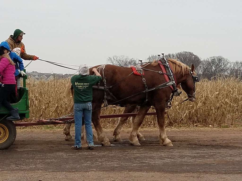 Varner Farms | 746 S Trappe Rd, Collegeville, PA 19426 | Phone: (610) 489-8878