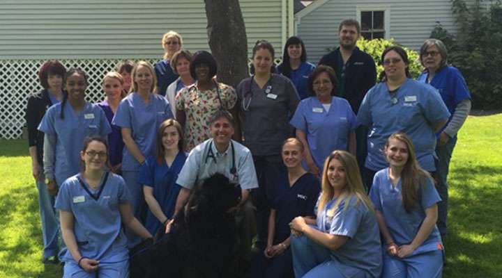 VCA Hanson Animal Hospital | 705 Main St, Hanson, MA 02341, USA | Phone: (781) 293-2511