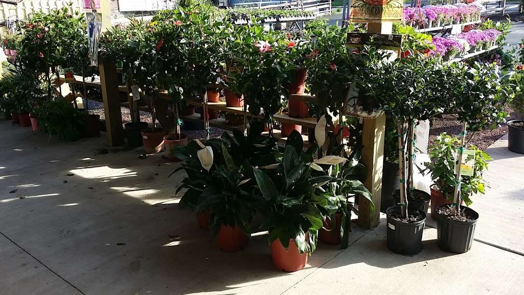 Hillside Nursery | 110 Jackson St, Clifton Heights, PA 19018, USA | Phone: (610) 626-2826