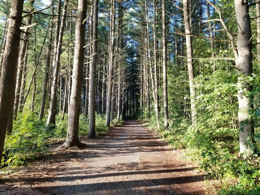 Gates Pond Reservoir Loop Trail | 99 Taylor Rd, Berlin, MA 01503, USA