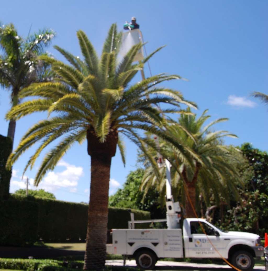 Diamond Cut Lawnscapes and Lawn & Ornamental Spray | 3591 Lone Pine Rd, Delray Beach, FL 33445 | Phone: (561) 276-2121