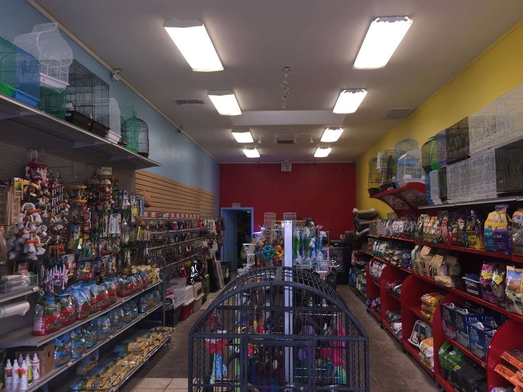 Pets R Us, Pet Grooming & Supplies | 838 W Glenoaks Blvd, Glendale, CA 91202, USA | Phone: (818) 553-8060