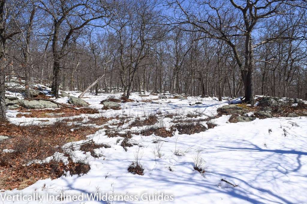 Anthonys Nose II - Trail Head | Bear Mountain Bridge Rd, Cortlandt, NY 10567, USA