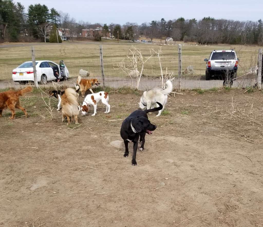 Wrentham Dog Park | Wrentham, MA 02093, USA