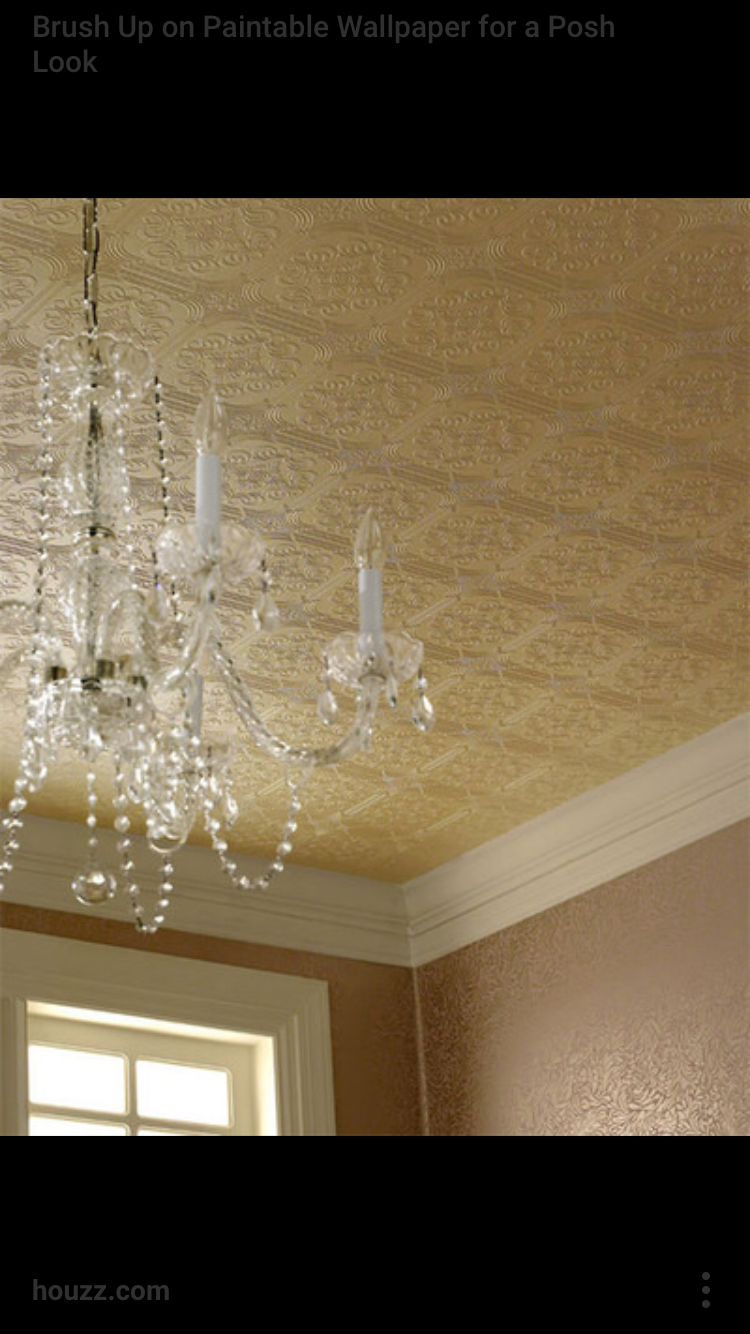 Williams Wallpaper & Paint | 4523 Hidden Shadow Dr, Tampa, FL 33614, USA | Phone: (813) 966-0740