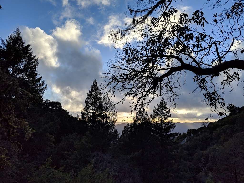 Castle Rock Falls | Los Gatos, CA 95033, USA