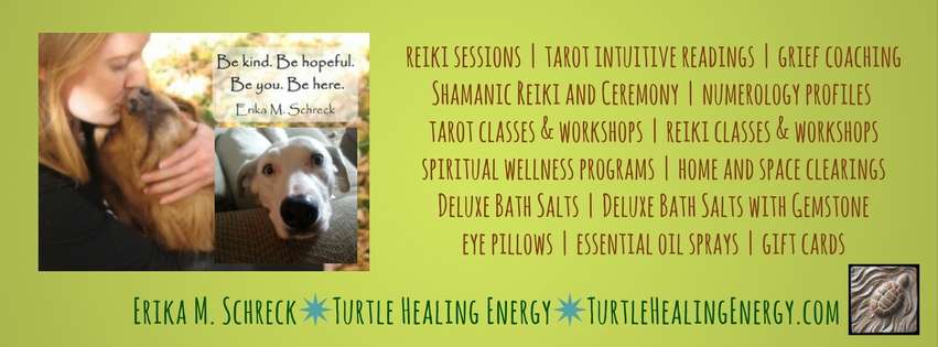 Turtle Healing Energy and Erika M. Schreck | 6897 Paiute Ave unit 2c, Niwot, CO 80503, USA | Phone: (970) 239-1743