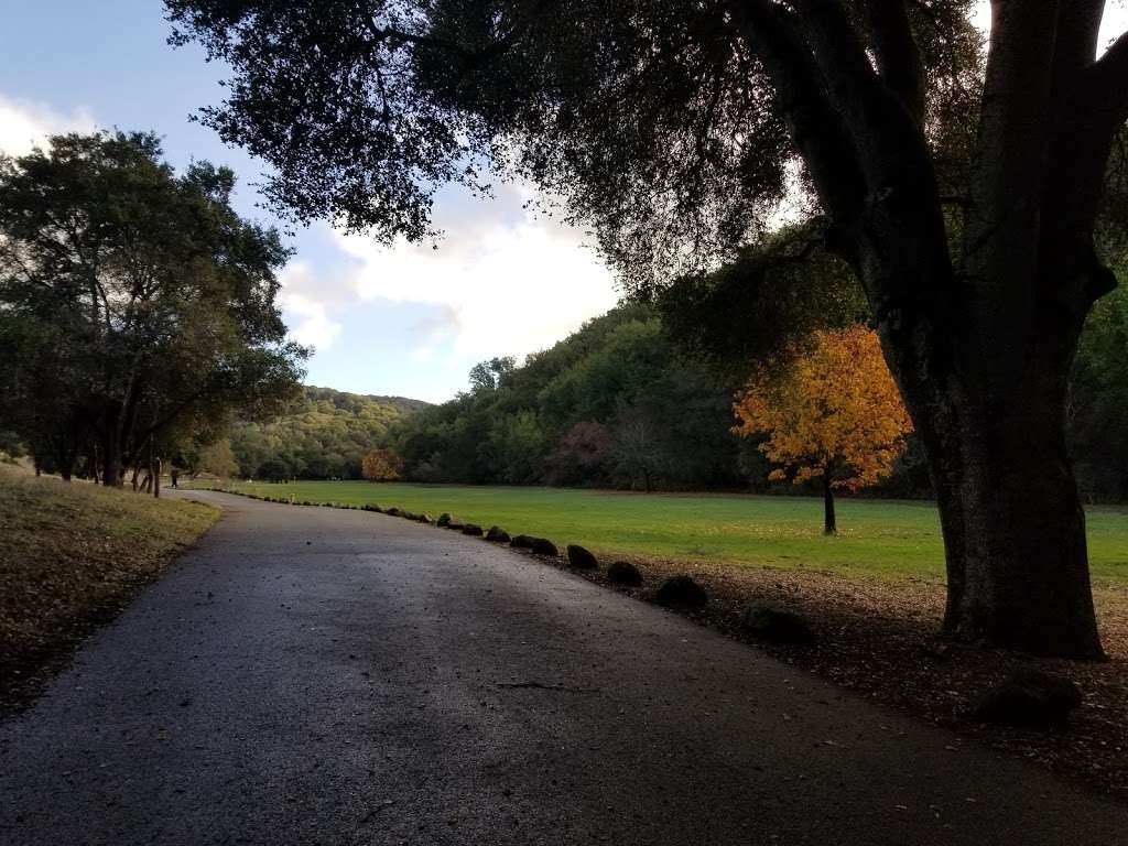 Foothills Park Nature Interpretive Center | 3300 Page Mill Rd, Palo Alto, CA 94304, USA | Phone: (650) 329-2423