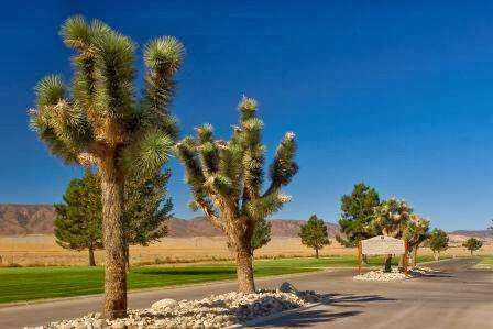 Good Shepherd Catholic Cemetery | 43121 70th St W, Lancaster, CA 93536, USA | Phone: (661) 722-0887