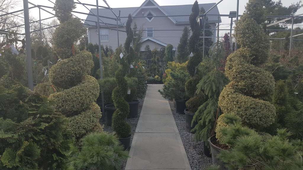 Umberto Garden Center | 1815 Arthur Kill Rd, Staten Island, NY 10312 | Phone: (718) 356-4564