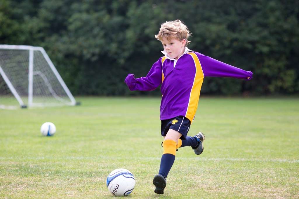 Aldwickbury School | Wheathampstead Rd, Harpenden AL5 1AD, UK | Phone: 01582 713022