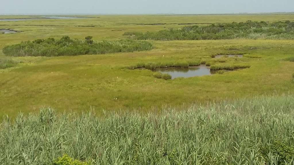 North Brigantine State Natural Area | Brigantine, NJ 08203, USA