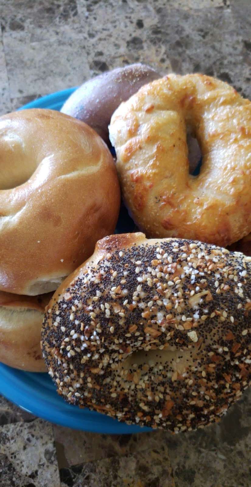 Back Home Bagels Deli & Bake Shop | 4041 PA-309 Suite 103, Schnecksville, PA 18078 | Phone: (610) 760-3262