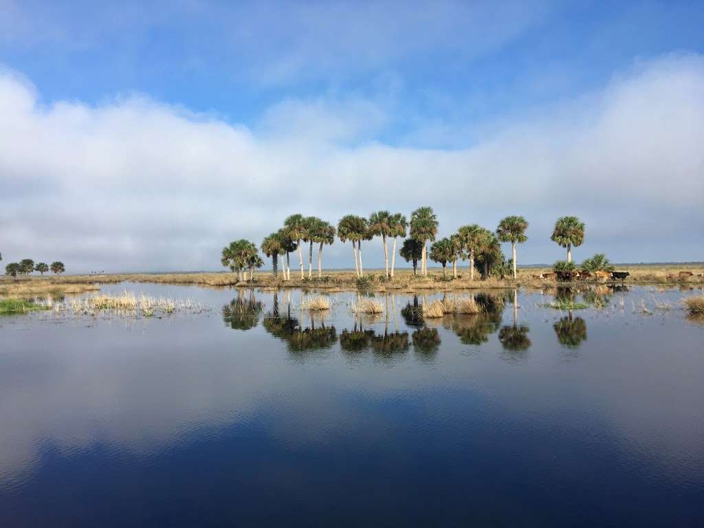 A-Awesome Airboat Rides | 1435-901 Cupid Ave, Christmas, FL 32709, USA | Phone: (407) 568-7601