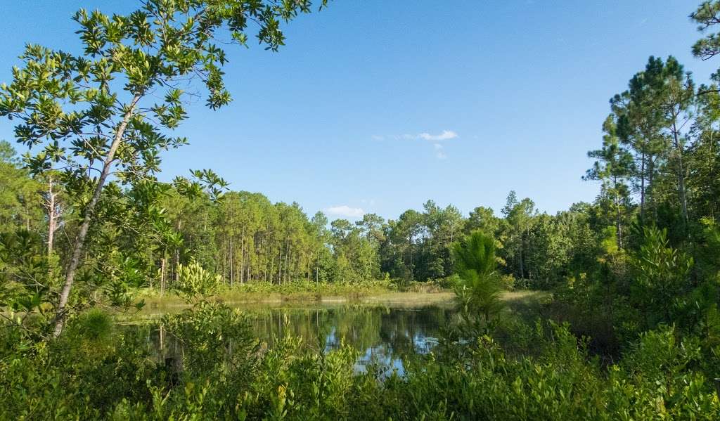 Trailhead for Flagler/Florida Trail | Flagler Trail, Oviedo, FL 32765, USA