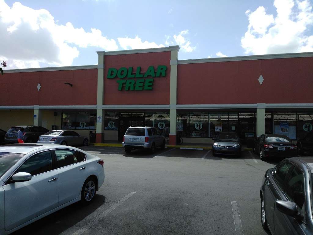 Dollar Tree | 880 NE 125th St, North Miami, FL 33161, USA | Phone: (786) 264-0133