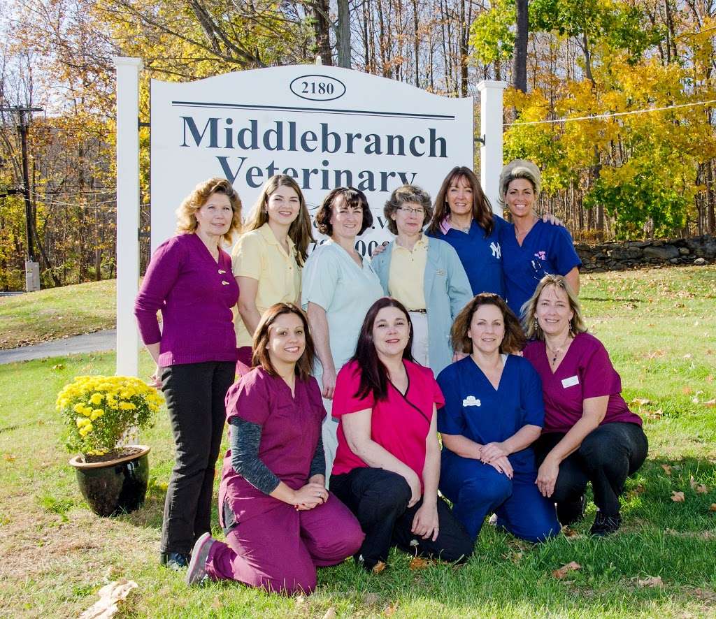 Middlebranch Veterinary | 2180 US-6, Carmel Hamlet, NY 10512, USA | Phone: (845) 278-8000