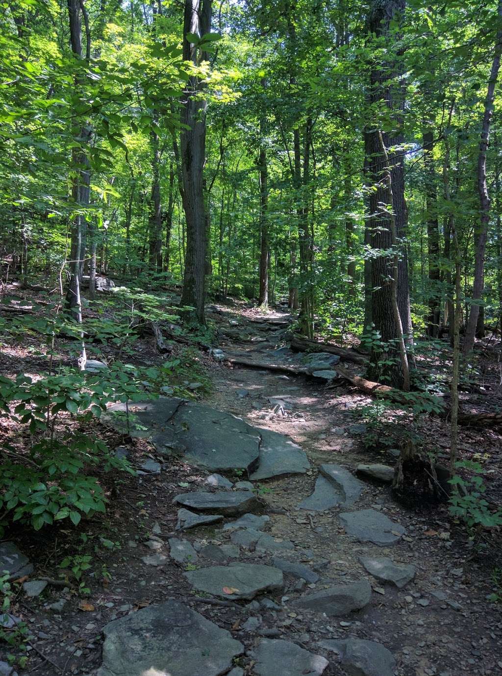 Weverton Cliffs Parking Lot | Weverton Cliffs Road, Knoxville, MD 21758